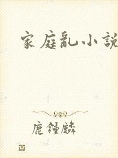 家庭乱小说