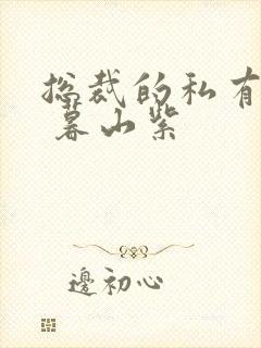 总裁的私有宝贝 暮山紫