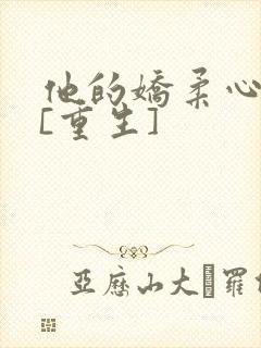 他的娇柔心尖宠[重生]