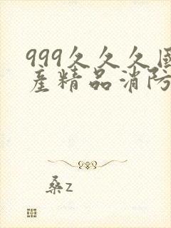 999久久久国产精品消防器材