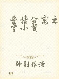 爱情公寓之极品曾小贤