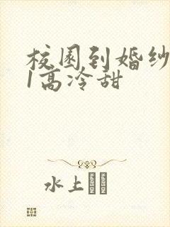 校园到婚纱1V1高冷甜