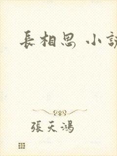 长相思 小说