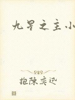 九星之主小说