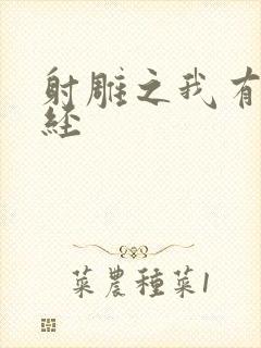 射雕之我有太玄经