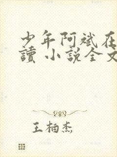 少年阿斌在线阅读 小说全文免费