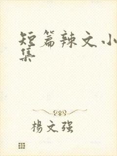 短篇辣文小说合集