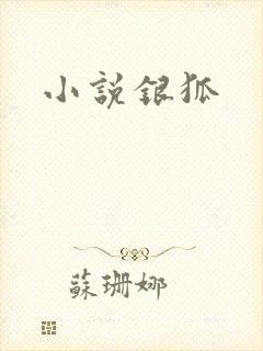 小说银狐