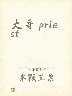 大哥 priest