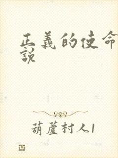 正义的使命 小说