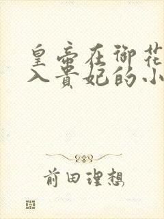 皇帝在御花园进入贵妃的小说