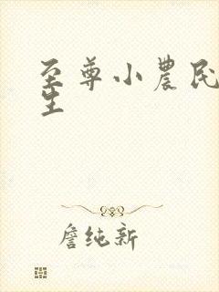 至尊小农民王木生