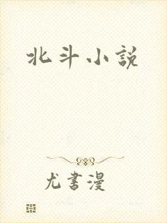北斗小说