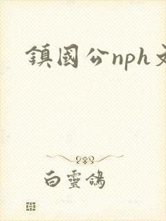 镇国公nph文