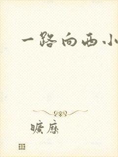 一路向西小说