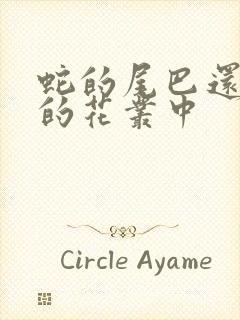 蛇的尾巴还在我的花丛中