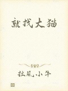 就找大猫