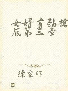 女婿有劲枪枪到底第三章