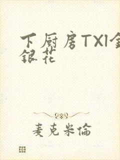 下厨房TXl金银花