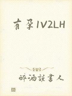 有孕1V2LH