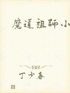 魔道祖师小说