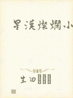 星汉灿烂小说