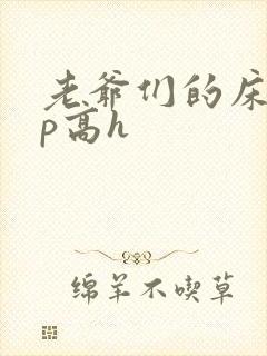 老爷们的床奴np高h