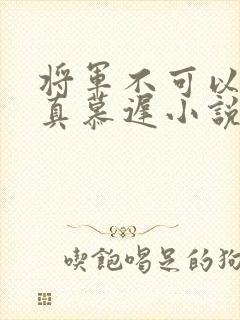 将军不可以魏云真慕迟小说笔趣阁