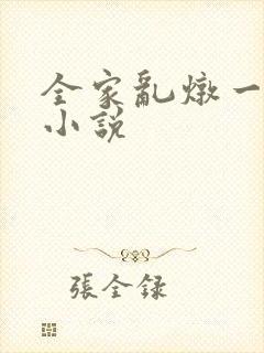 全家乱炖一锅烩小说