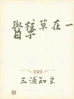 与校草在一起的日子