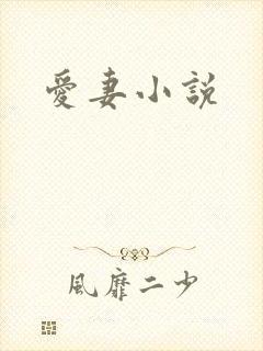 爱妻小说