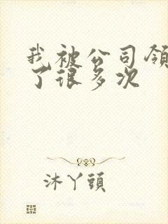 我被公司领导C了很多次