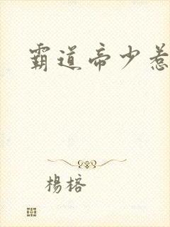 霸道帝少惹不得