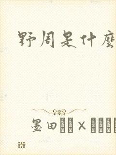 野周是什么意思