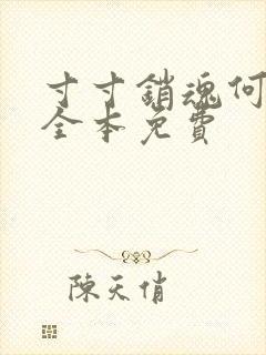 寸寸销魂何生祥全本免费