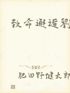 致命邂逅刘小寐