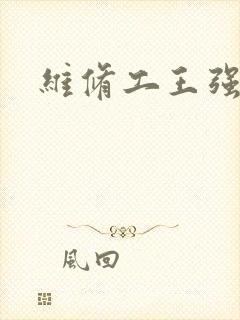 维修工王强张婷