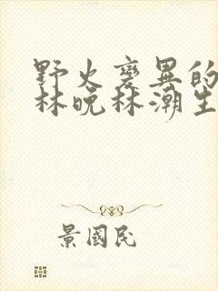 野火变异的父爱林晚林潮生
