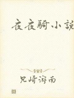 夜夜骑小说