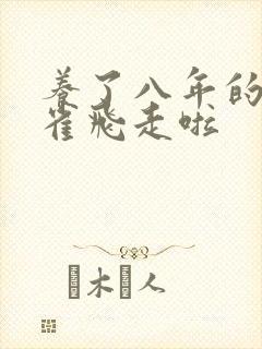 养了八年的金丝雀飞走啦