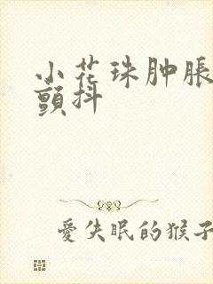 小花珠肿胀挺立颤抖