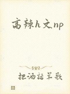 高辣h文np