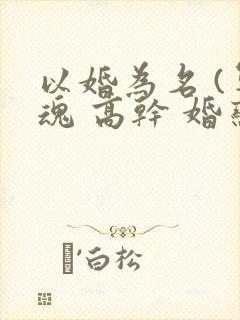 以婚为名 (军魂 高干 婚恋)