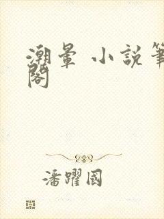 潮晕 小说笔趣阁