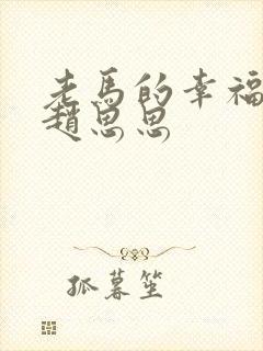 老马的幸福生活赵思思