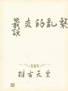 最爽的乱系列小说