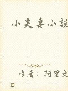 小夫妻小说