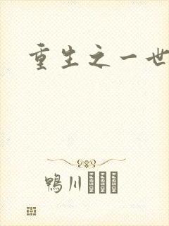 重生之一世枭雄