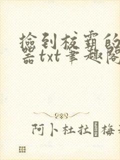 捡到校霸的遥控器txt笔趣阁