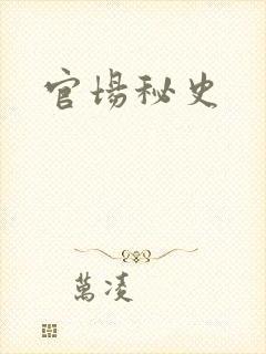 官场秘史